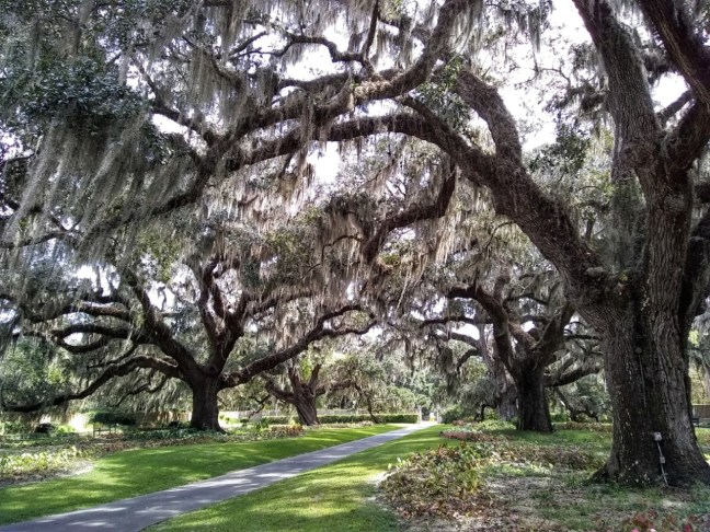 Brookgreen-Gardens-3
